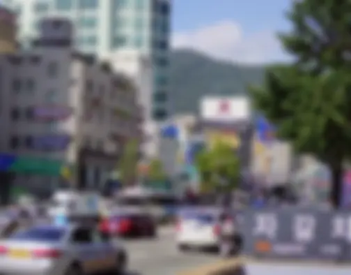 Dag 8 - Jagalchi Market, Gamcheon Culture Village, Dadaepo Beach - Busan photo 3