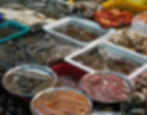 Dag 8 - Jagalchi Market, Gamcheon Culture Village, Dadaepo Beach - Busan photo 26