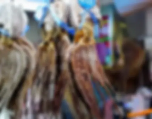 Dag 8 - Jagalchi Market, Gamcheon Culture Village, Dadaepo Beach - Busan photo 37
