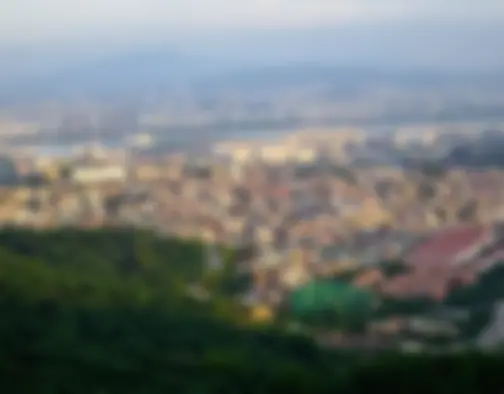 Dag 13 - N Seoul Tower - Seoul photo 19