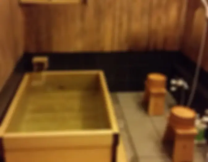 Day 14 - Motonago Ryokan, Kyoto photo 16