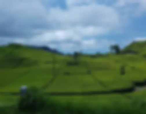 Bandung photo 18