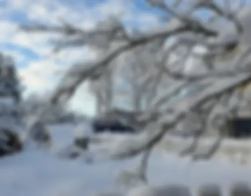 Rovaniemi photo 9