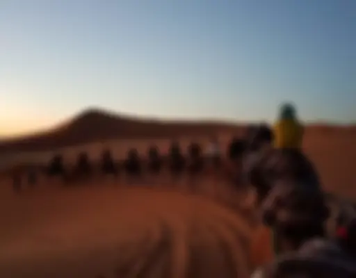 Mergouza Desert photo 1