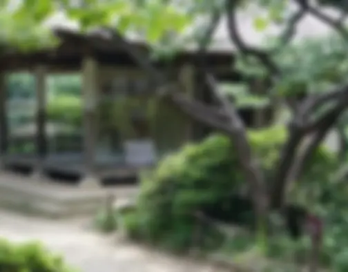 Dag 4 - Korean Folk Village, Hwasong Fortress - Suwon photo 12