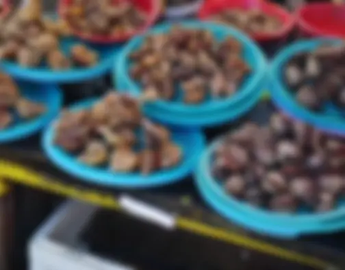 Dag 8 - Jagalchi Market, Gamcheon Culture Village, Dadaepo Beach - Busan photo 25
