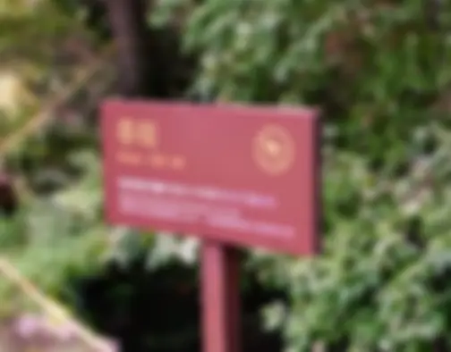 Dag 4 - Korean Folk Village, Hwasong Fortress - Suwon photo 13