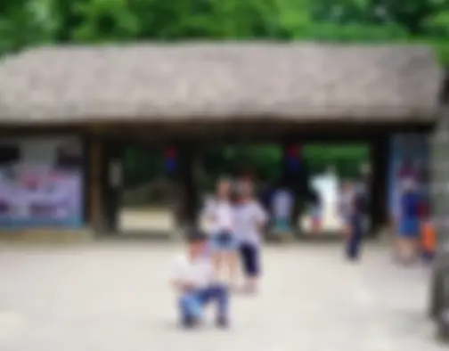 Dag 4 - Korean Folk Village, Hwasong Fortress - Suwon photo 5