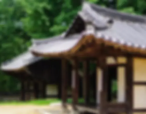Dag 4 - Korean Folk Village, Hwasong Fortress - Suwon photo 11