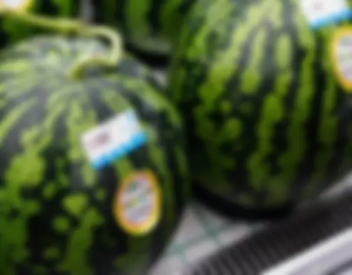 Dag 8 - Jagalchi Market, Gamcheon Culture Village, Dadaepo Beach - Busan photo 12