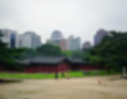 Dag 2 - Changdeogung Palace, Insadong, Hongdae - Seoul photo 6