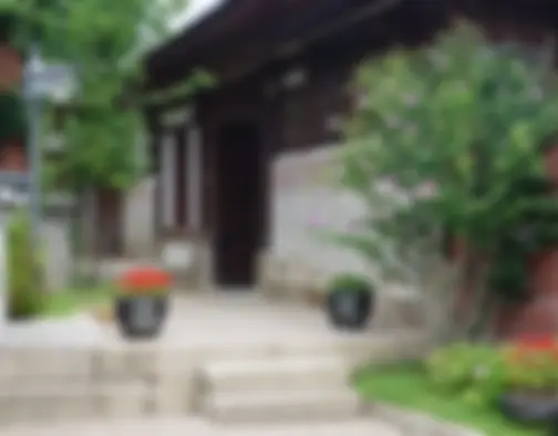 Dag 14 - Bukchon Hanok Village, Gyeongbokgung Palace - Seoul photo 6
