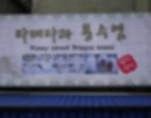 Dag 2 - Changdeogung Palace, Insadong, Hongdae - Seoul photo 11