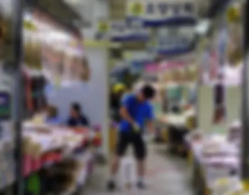 Dag 8 - Jagalchi Market, Gamcheon Culture Village, Dadaepo Beach - Busan photo 35