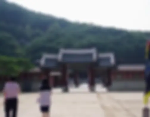 Dag 4 - Korean Folk Village, Hwasong Fortress - Suwon photo 21