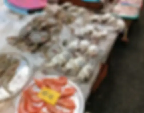 Dag 7 - Bujeon Traditional Market, Gwangalli Beach - Busan photo 26