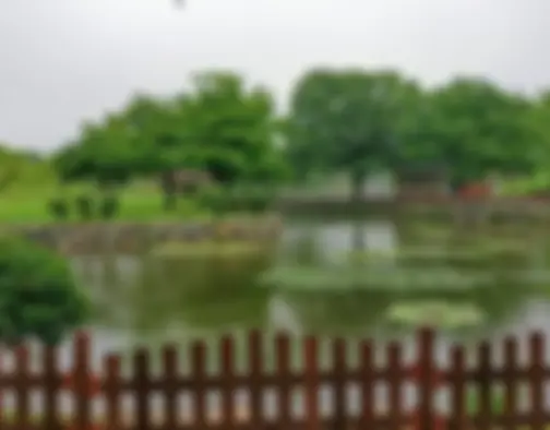 Dag 5 - Tumuli Park, Cheomseongdae Observatory - Gyeongju photo 21