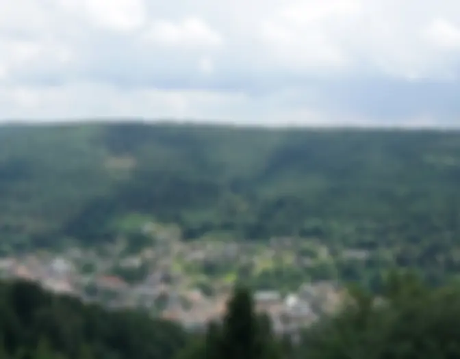 Day 2 - Bad Wildbad photo 10