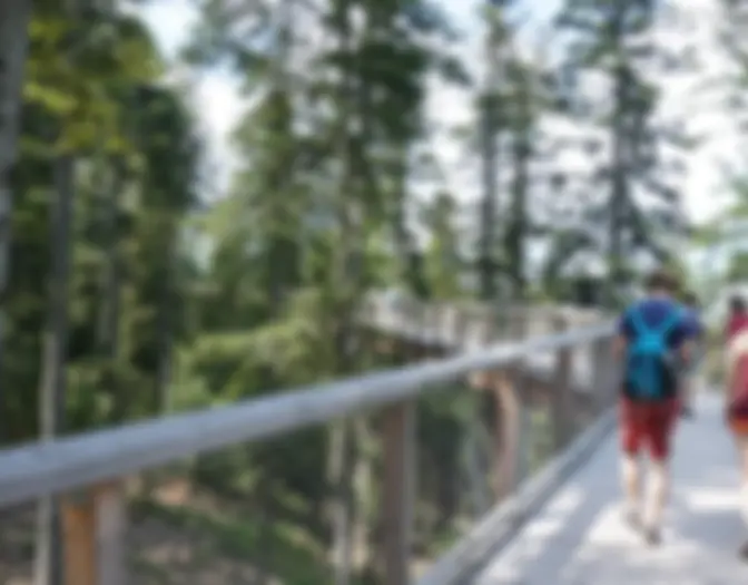 Day 2 - Bad Wildbad photo 9