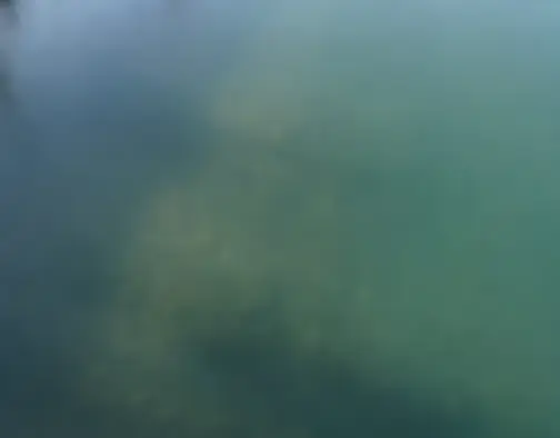 Dag 2 - Interlaken, Lake Thun, Thun photo 12