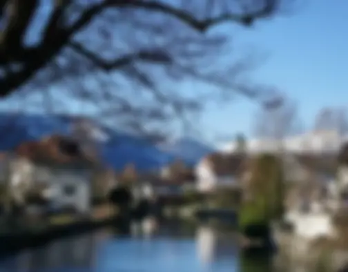 Dag 2 - Interlaken, Lake Thun, Thun photo 7