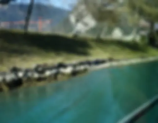 Dag 2 - Interlaken, Lake Thun, Thun photo 15