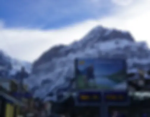 Dag 3 - Grindelwald, Mannlichen photo 6