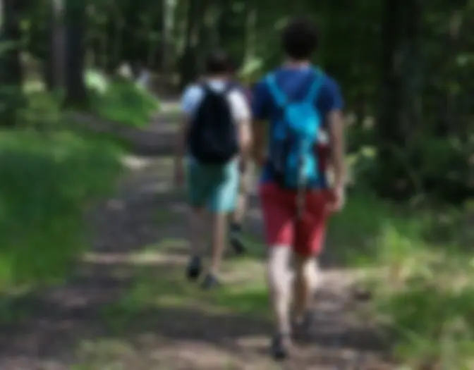 Day 2 - Bad Wildbad photo 12