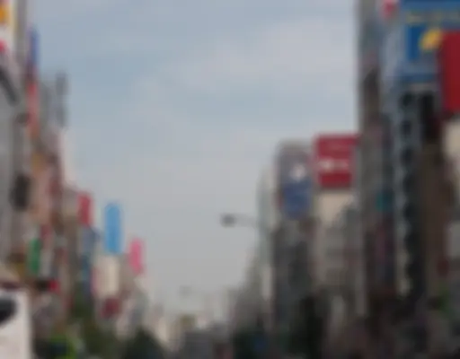 I wanna go back! Mata ne, Japan! photo 1