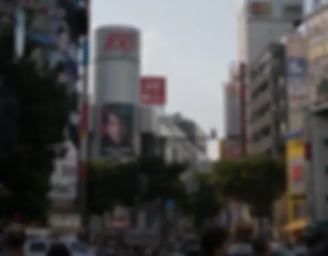 Day 2 - Shinjuku & Shibuya photo 6
