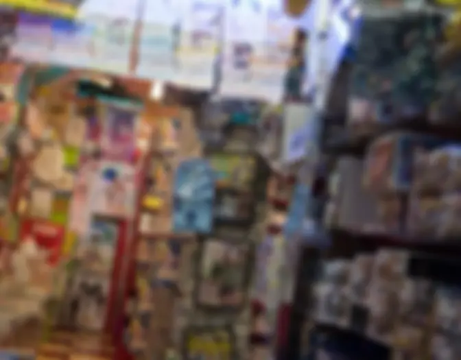 Day 3 - Akihabara photo 9
