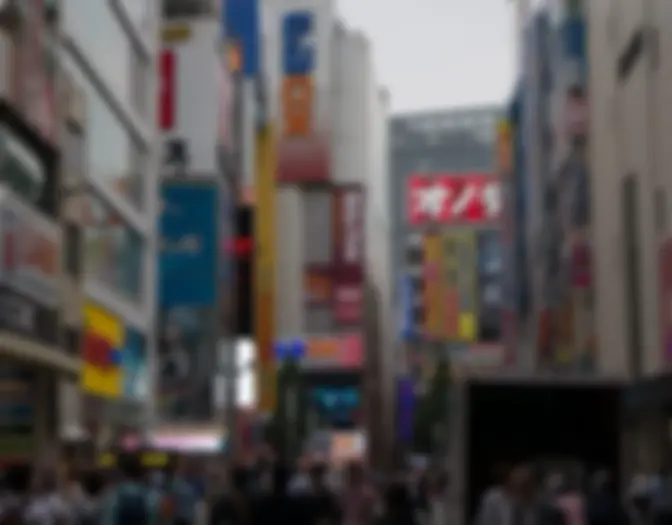 Day 3 - Akihabara photo 7
