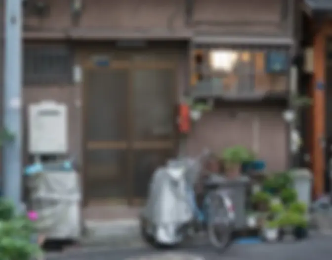 Day 4 - Nishi-Ojima & Odaiba photo 7