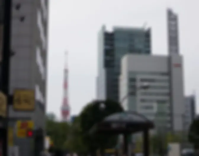 Day 5 - Hamamatsucho & Ginza photo 3