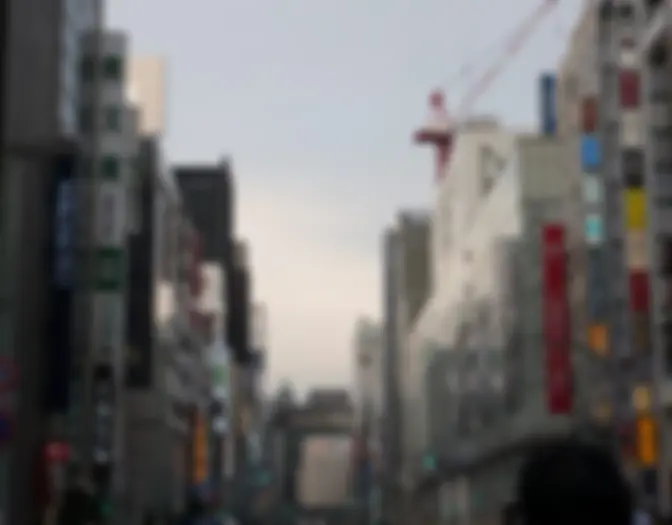 Day 5 - Hamamatsucho & Ginza photo 10