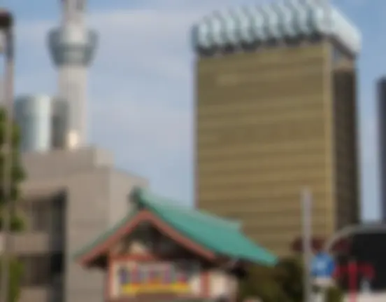Day 9 - Asakusa photo 1