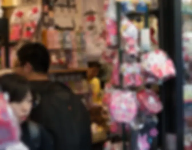 Day 9 - Asakusa photo 6