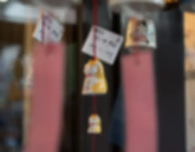 Day 9 - Asakusa photo 7