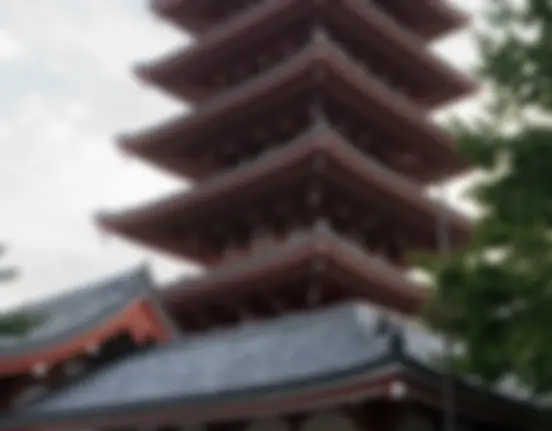 Day 9 - Asakusa photo 18
