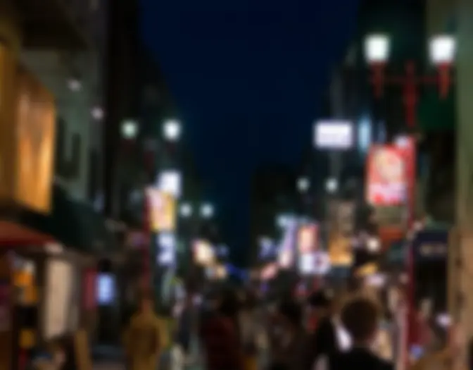 Day 9 - Asakusa photo 22