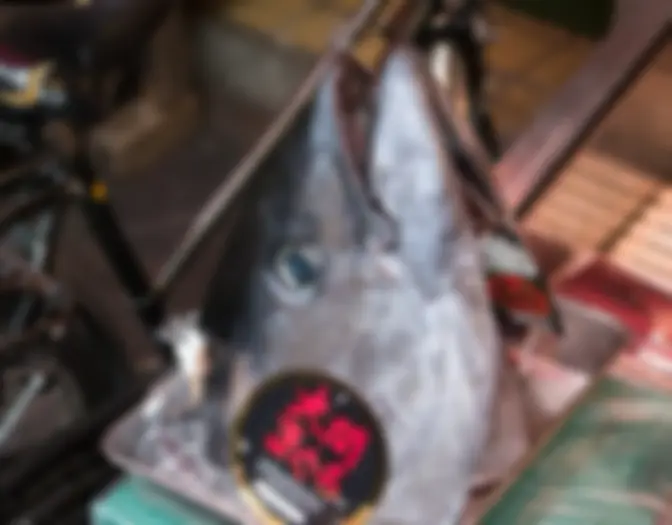Day 10 - Tsukiji Fish Market & Yokohama photo 6
