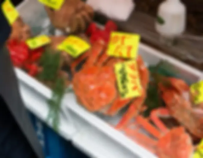 Day 10 - Tsukiji Fish Market & Yokohama photo 9