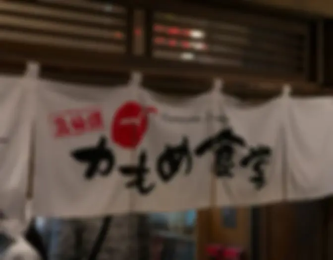 Day 10 - Tsukiji Fish Market & Yokohama photo 18