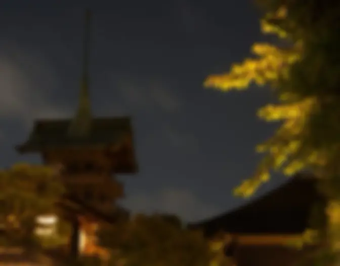 Day 14 - Motonago Ryokan, Kyoto photo 12