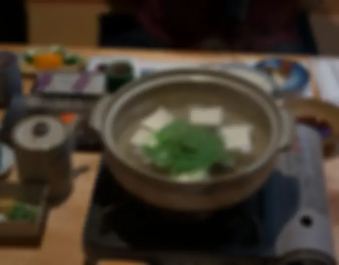 Day 15 - Motonago Ryokan en omgeving, Kyoto photo 3