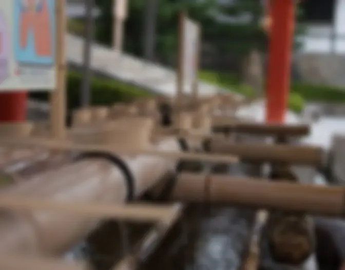 Day 16 - Fushimi Inari Shrine, Kyoto photo 6