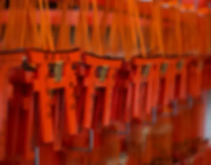 Day 16 - Fushimi Inari Shrine, Kyoto photo 8