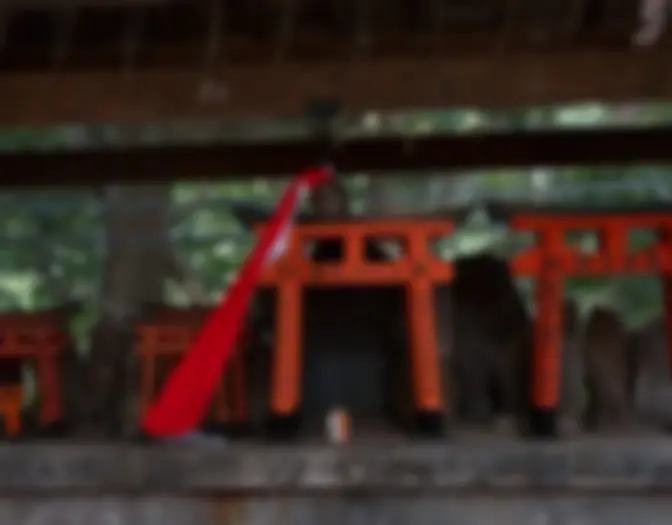 Day 16 - Fushimi Inari Shrine, Kyoto photo 11