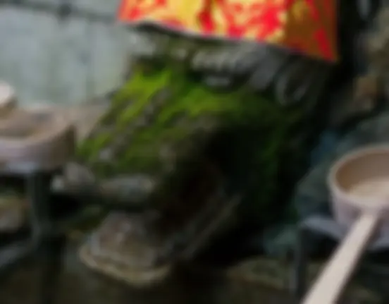 Day 16 - Fushimi Inari Shrine, Kyoto photo 15