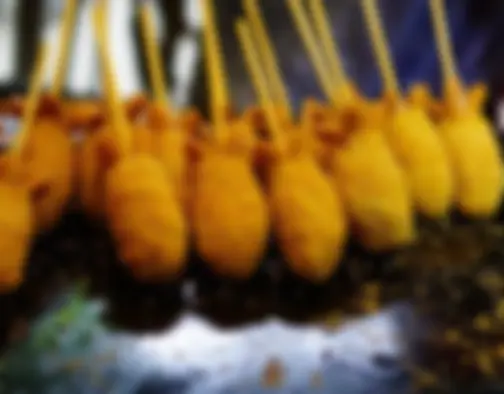 Bandung photo 11